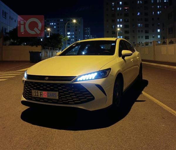 بي واي دي Qin Plus 2025 للبيع في العراق -  بغداد